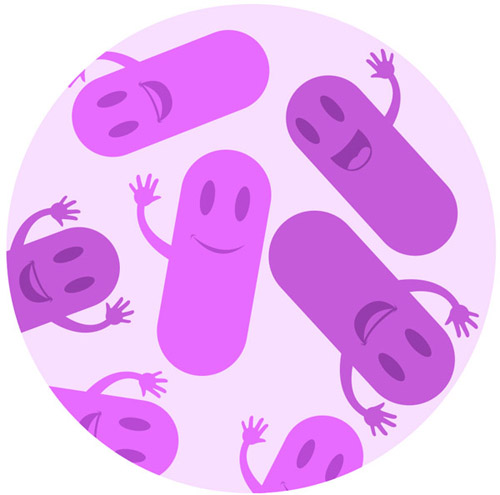 Good Bacteria